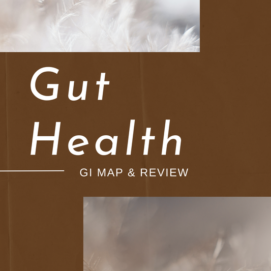 Gut Health Test GI MAP + Review