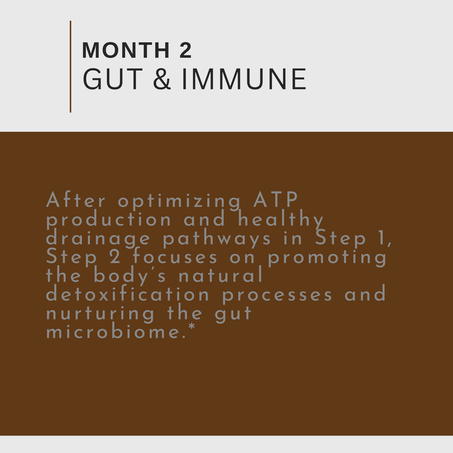 4 Month Detox: Gut, Energy, Digestive and Immune Health