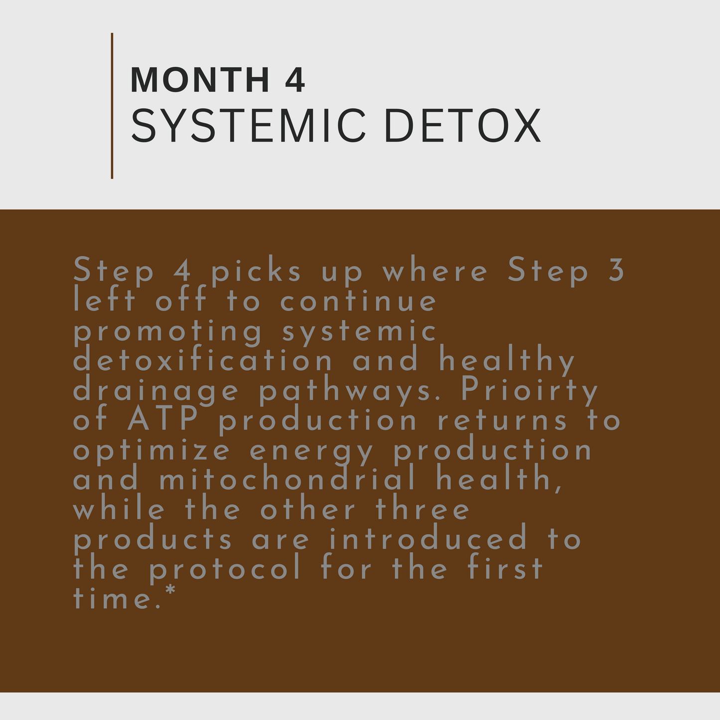 4 Month Detox: Gut, Energy, Digestive and Immune Health